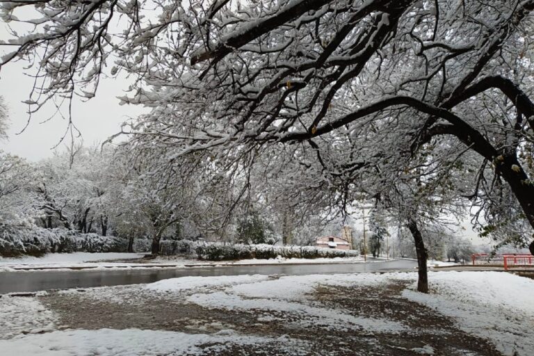 La ola polar no da tregua: anticipan más frío y posibles nevadas en Córdoba