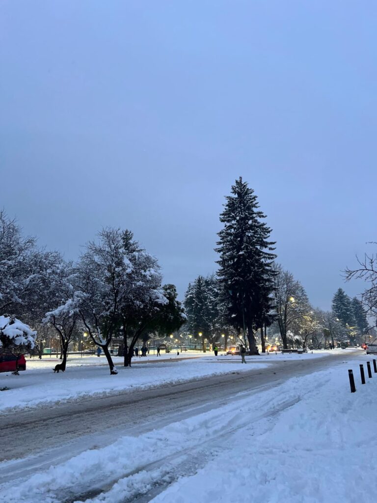 El sur argentino enfrenta un fuerte temporal de nieve