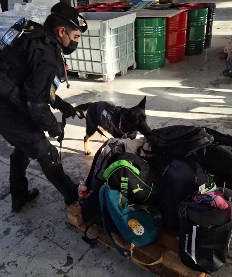 Megaoperativo en una fiesta electrónica: secuestran cocaína, tussi, éxtasis y otras drogas