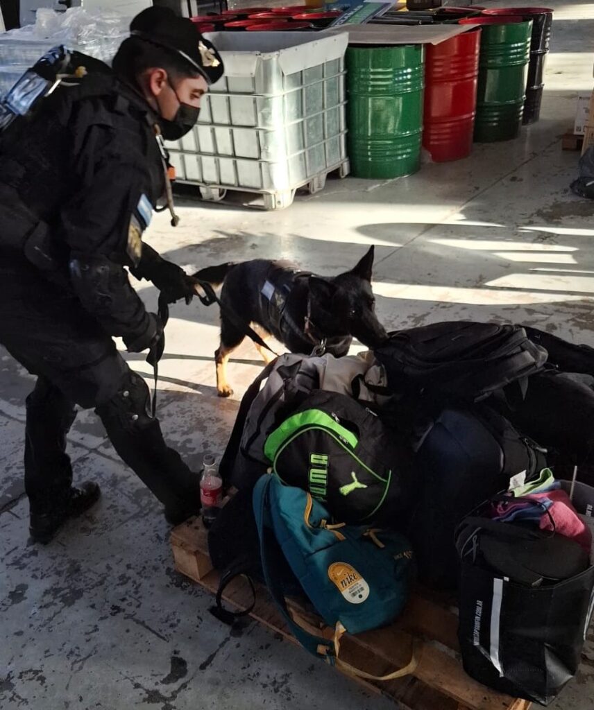 Megaoperativo en una fiesta electrónica: secuestran cocaína, tussi, éxtasis y otras drogas