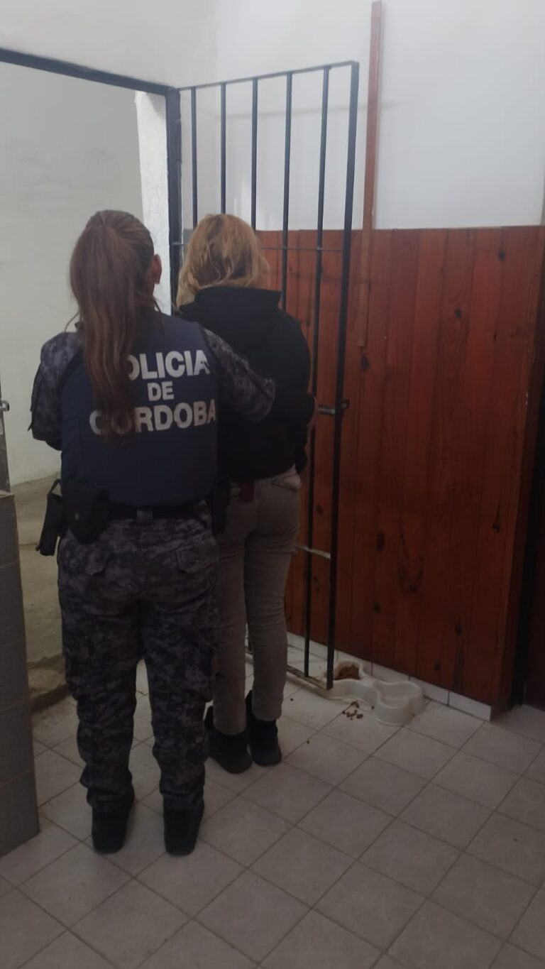 APREHENSIÓN DE FEMENINA POR DELITO, PERSONAL POLICIAL LESIONADO Y USO DE ARMAS MENOS LETALES