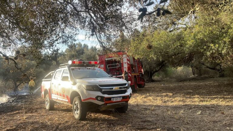 Alerta por incendios: varias regiones presentan riesgo alto y muy alto