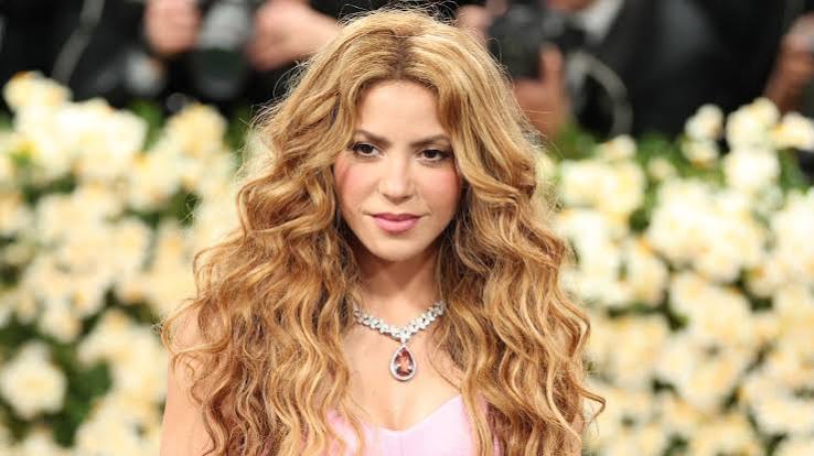 Shakira anunció que aportará un millón de dólares para reconstruir escuelas en Chocó y pidió ayuda internacional