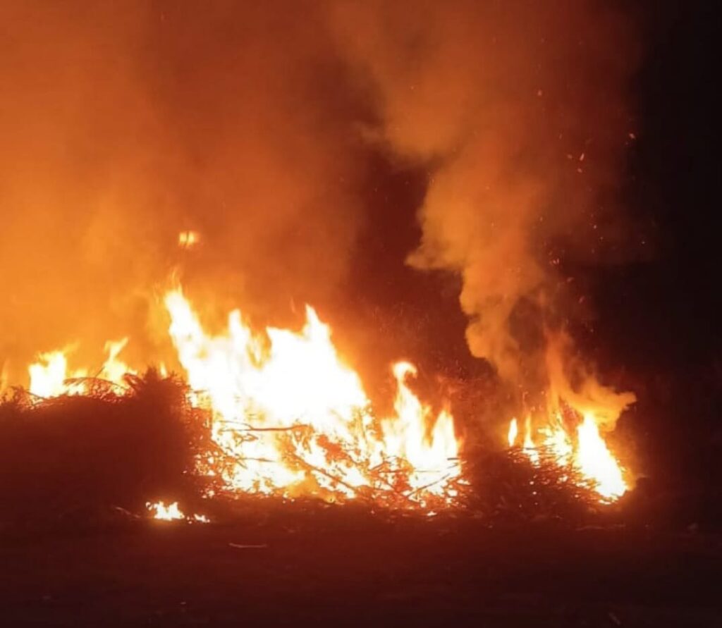 Nuevo incendio en el predio de la Laguna Sanitaria