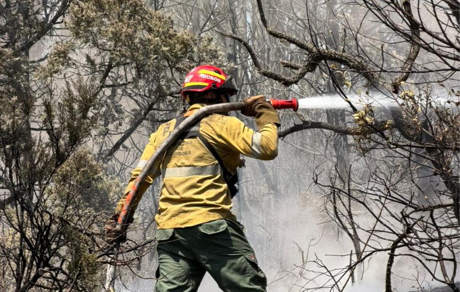 Continúa el riesgo extremo de incendios forestales en toda la provincia
