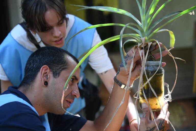 Alta Gracia profundiza su política sanitaria con la ampliación del Programa Integral de Zoonosis y Enfermedades Vectoriales