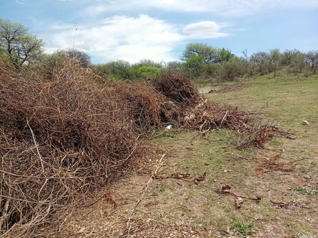 Villa Los Aromos: diferencias entre vecinos y la comuna por el uso de un predio en El Vivero